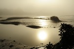 Picture of Sunrise on the Western Cleddau river estuary